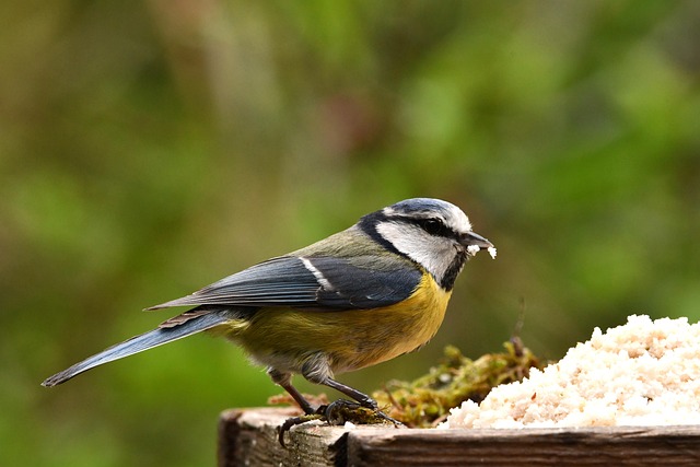 岡田 裕子 人事マネージャー ポートレート