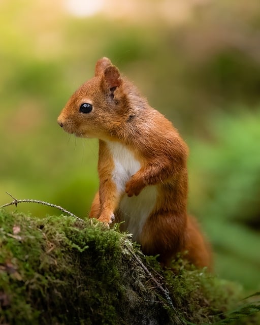 山本 健太郎 営業企画部長 ポートレート